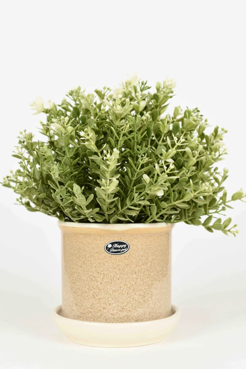 Classic Ceramic Planter — 4" Dia × 4" Height — Primary View