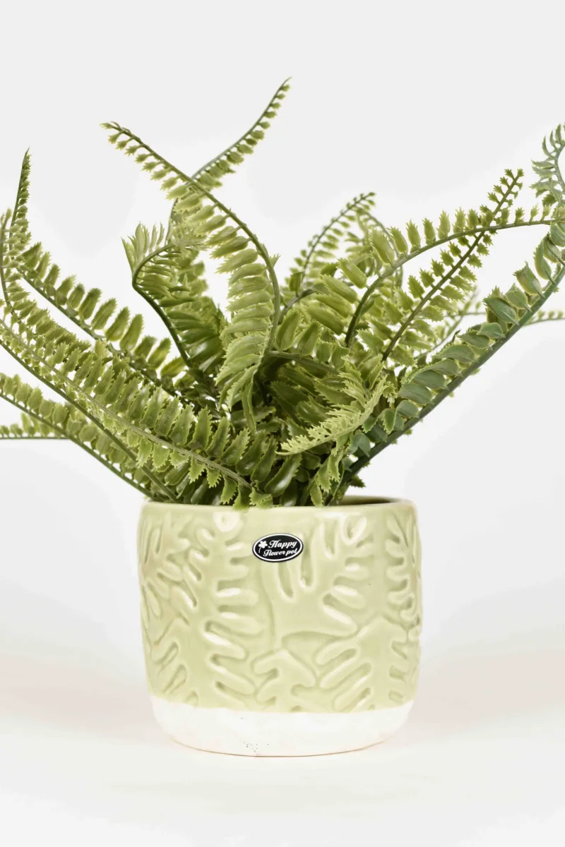 Classic Ceramic Planter — 4.5" Dia × 5" Height — Primary View