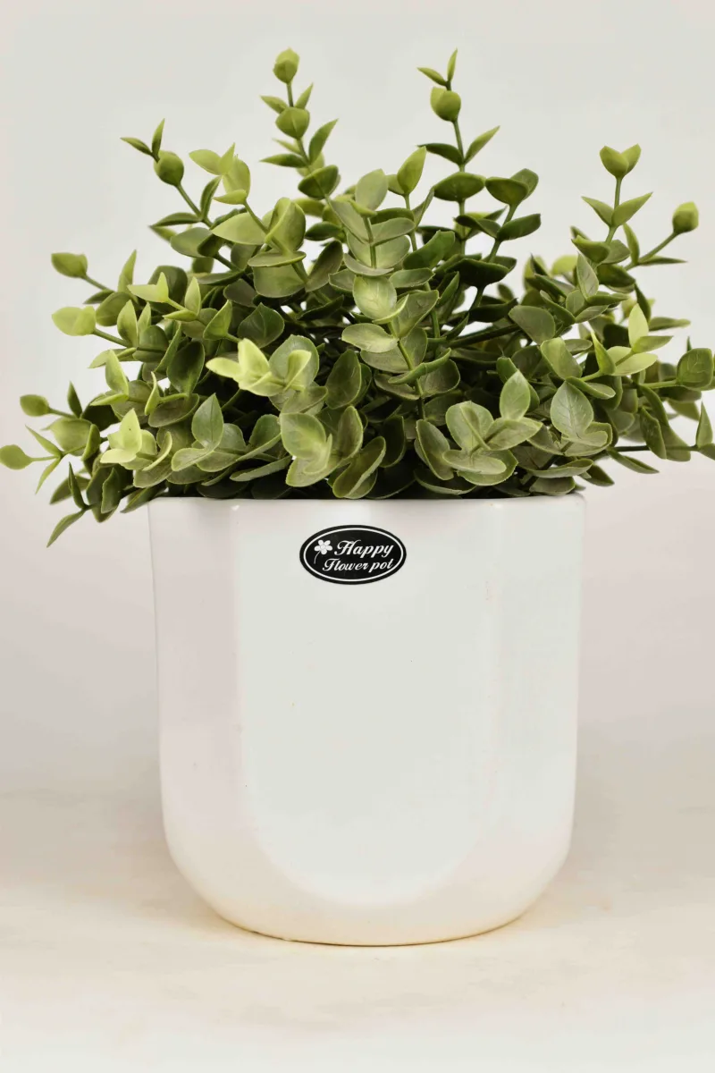 Classic Ceramic Planter — 4.5" Dia × 5" Height — Primary View