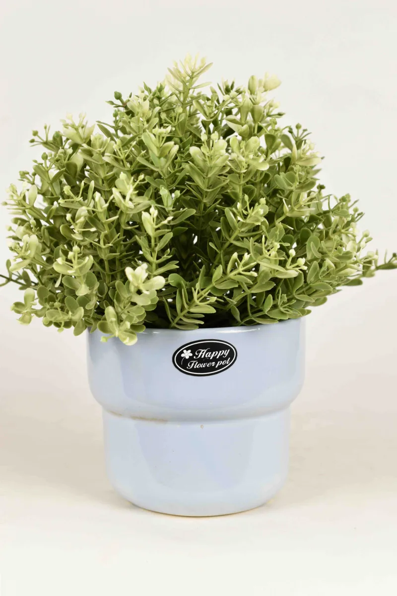 Classic Ceramic Planter — 5" Dia × 4.5" Height — Primary View