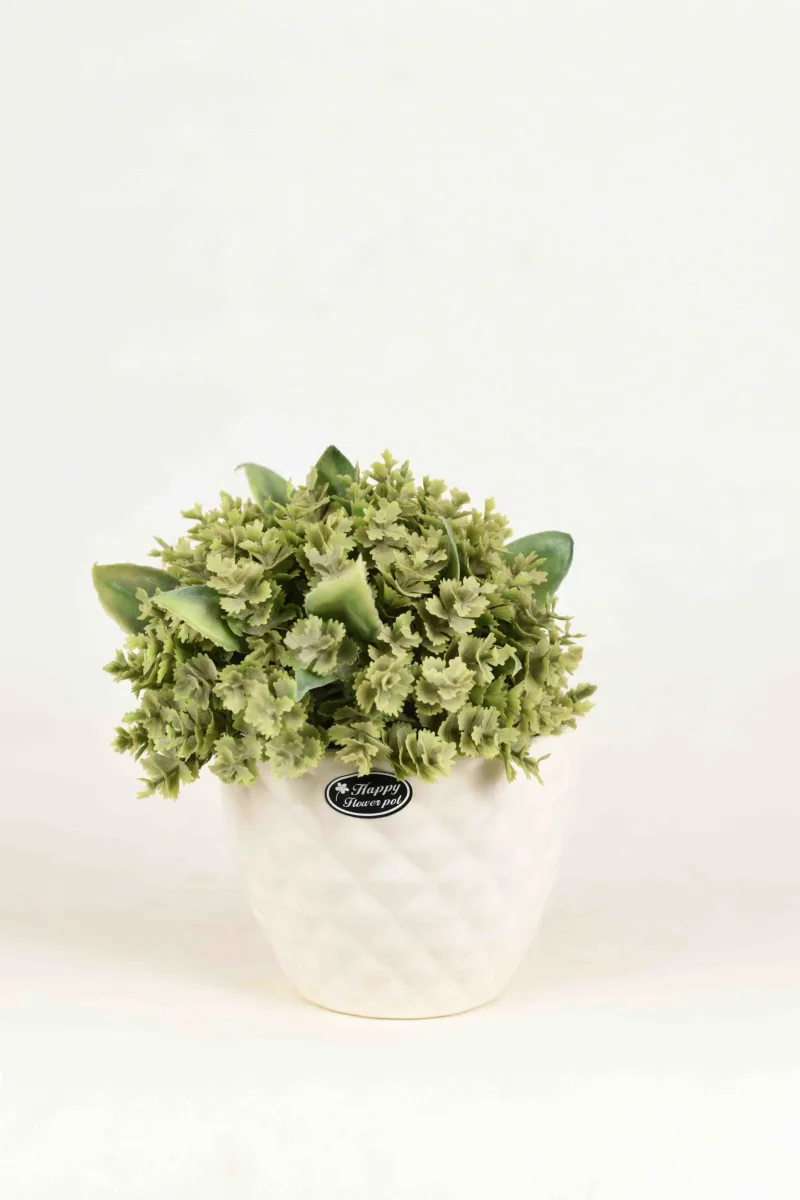 Classic Ceramic Planter — 4.5" Dia × 4.5" Height — Primary View