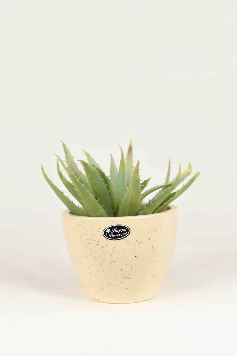 Classic Ceramic Planter — 4.5" Dia × 4.5" Height — Primary View