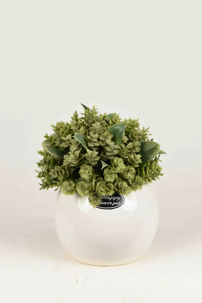 Classic Ceramic Planter — 5.5" Dia × 6" Height — Primary View