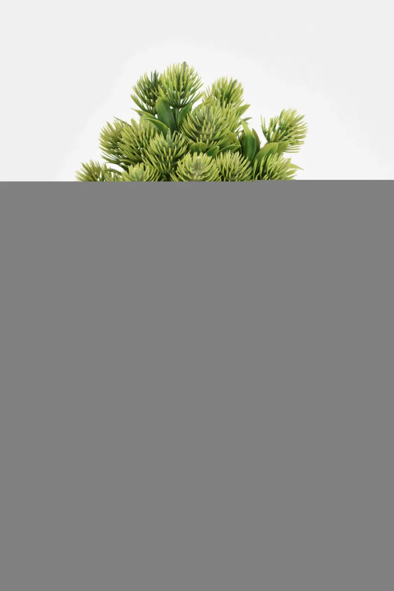 Classic Ceramic Planter — 7" Dia × 5.5" Height — Primary View