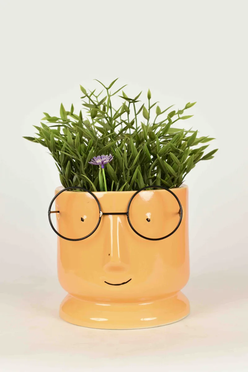 Classic Ceramic Planter — 5" Dia × 5" Height — Primary View