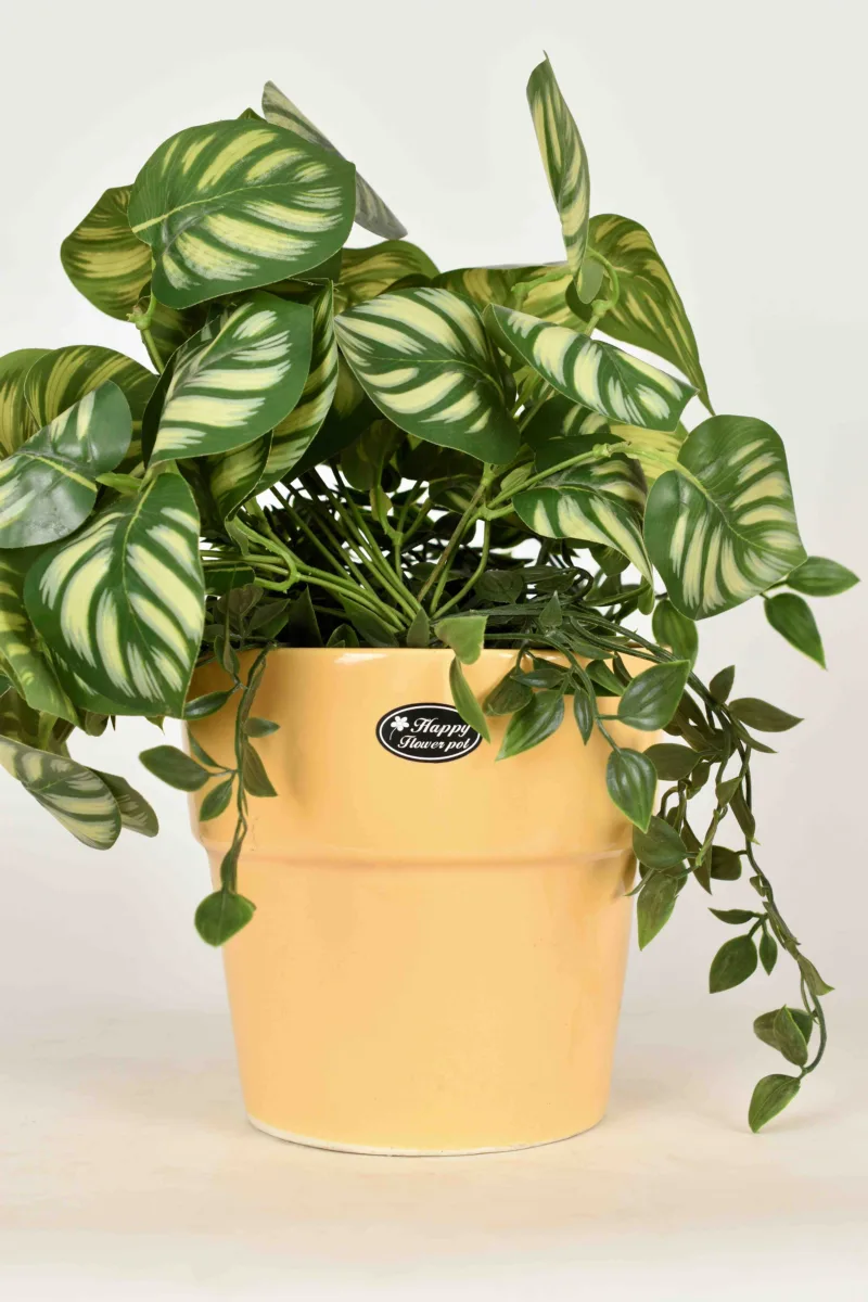 Classic Ceramic Planter — 6" Dia × 5" Height — Primary View