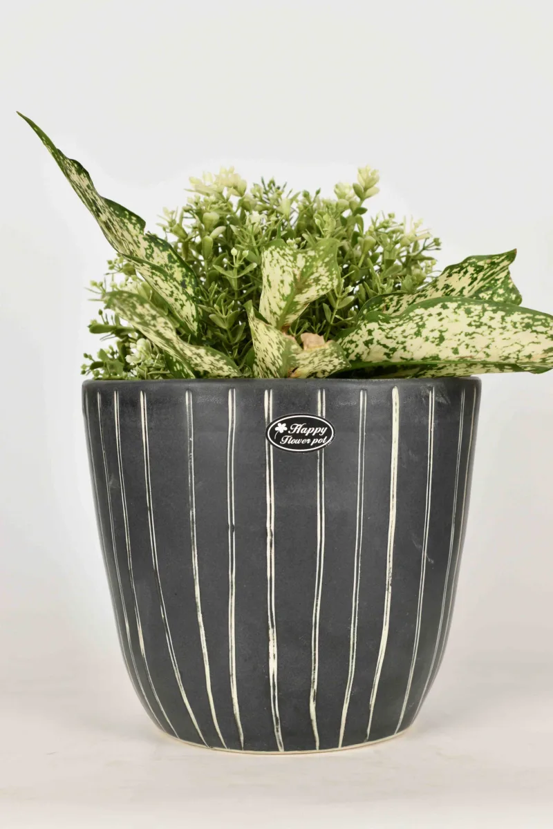 Classic Ceramic Planter — 6" Dia × 5" Height — Primary View