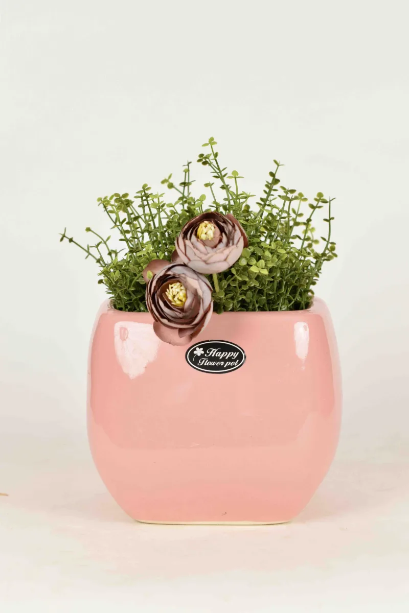 Classic Ceramic Planter — 6" Dia × 5.5" Height — Primary View