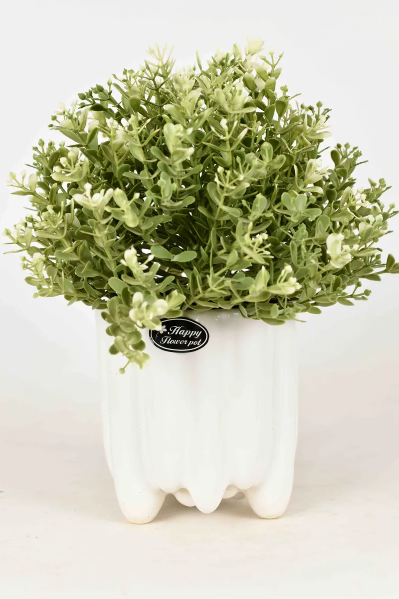 Classic Ceramic Planter — 6" Dia × 5.5" Height — Primary View