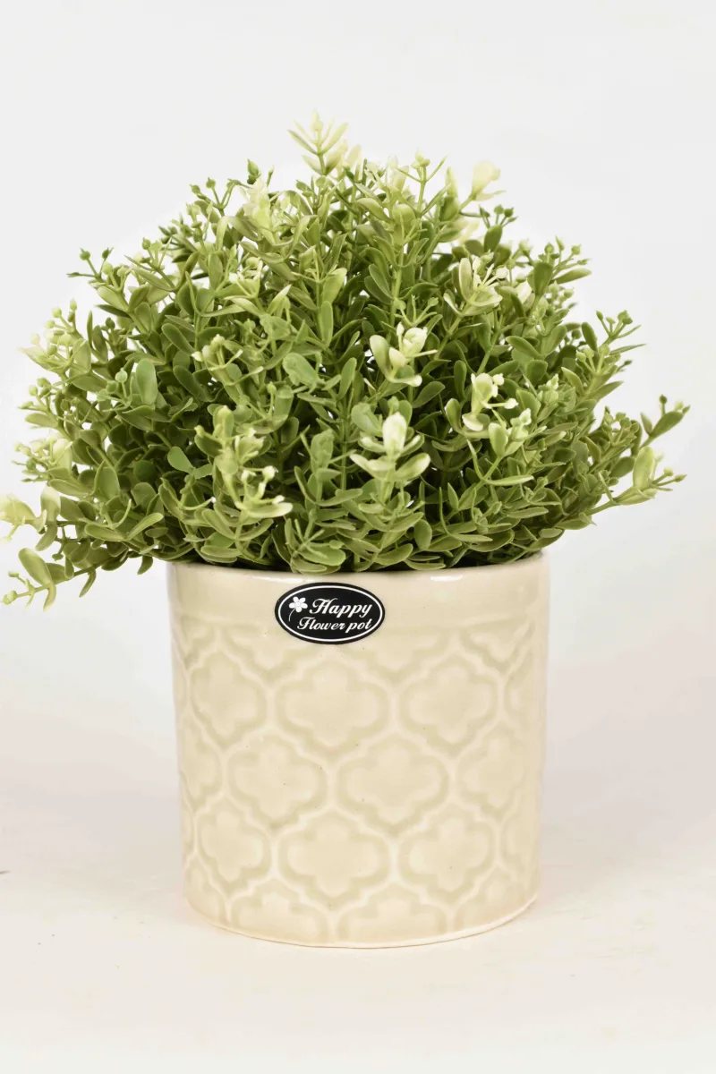 Classic Ceramic Planter — 6.5" Dia × 6.5" Height — Primary View