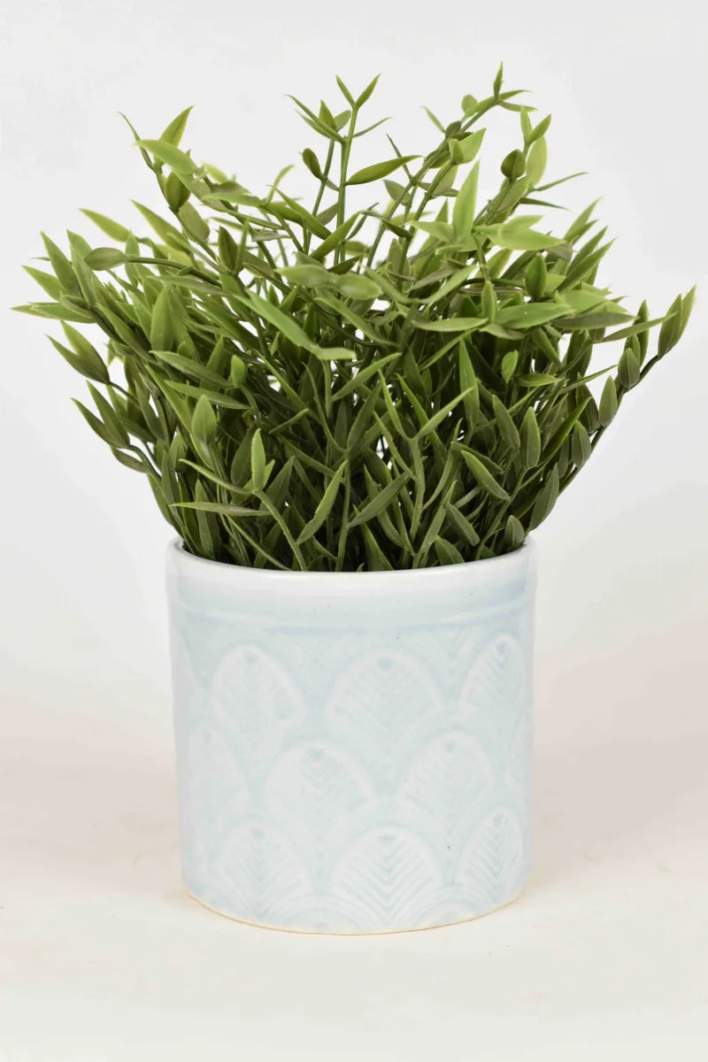 Classic Ceramic Planter — 5.5" Dia × 5.5" Height — Primary View