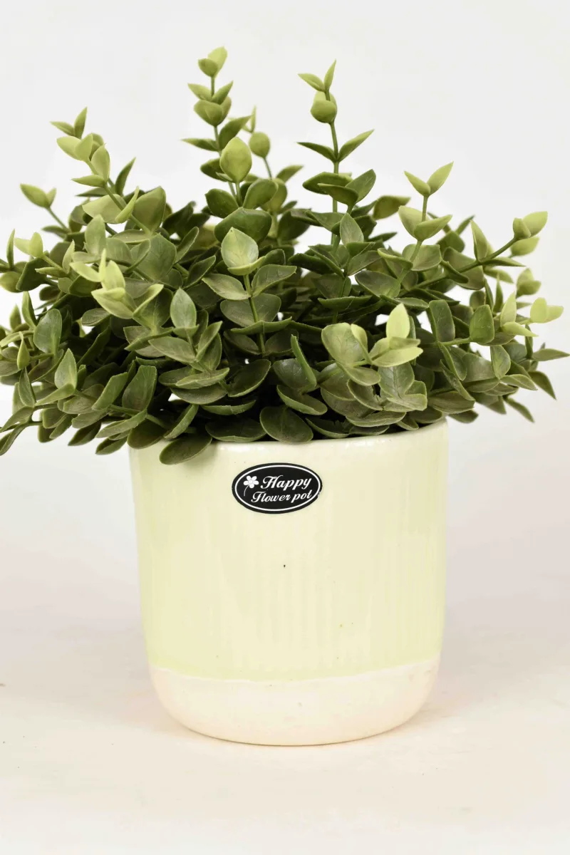 Classic Ceramic Planter — 6.5" Dia × 7" Height — Primary View