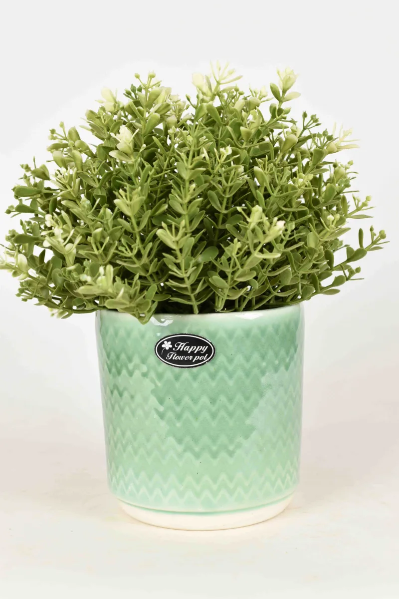 Classic Ceramic Planter — 4.5" Dia × 4.5" Height — Primary View