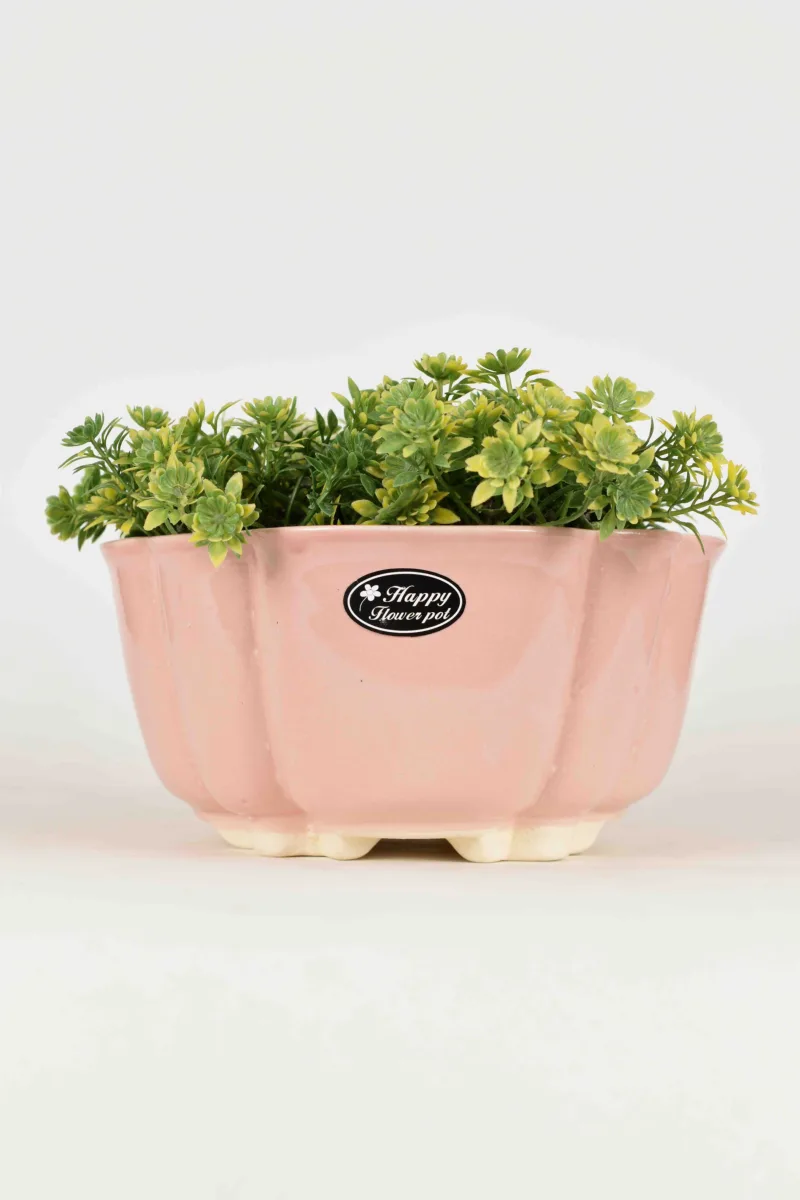 Classic Ceramic Planter — 5" Dia × 4.5" Height — Primary View