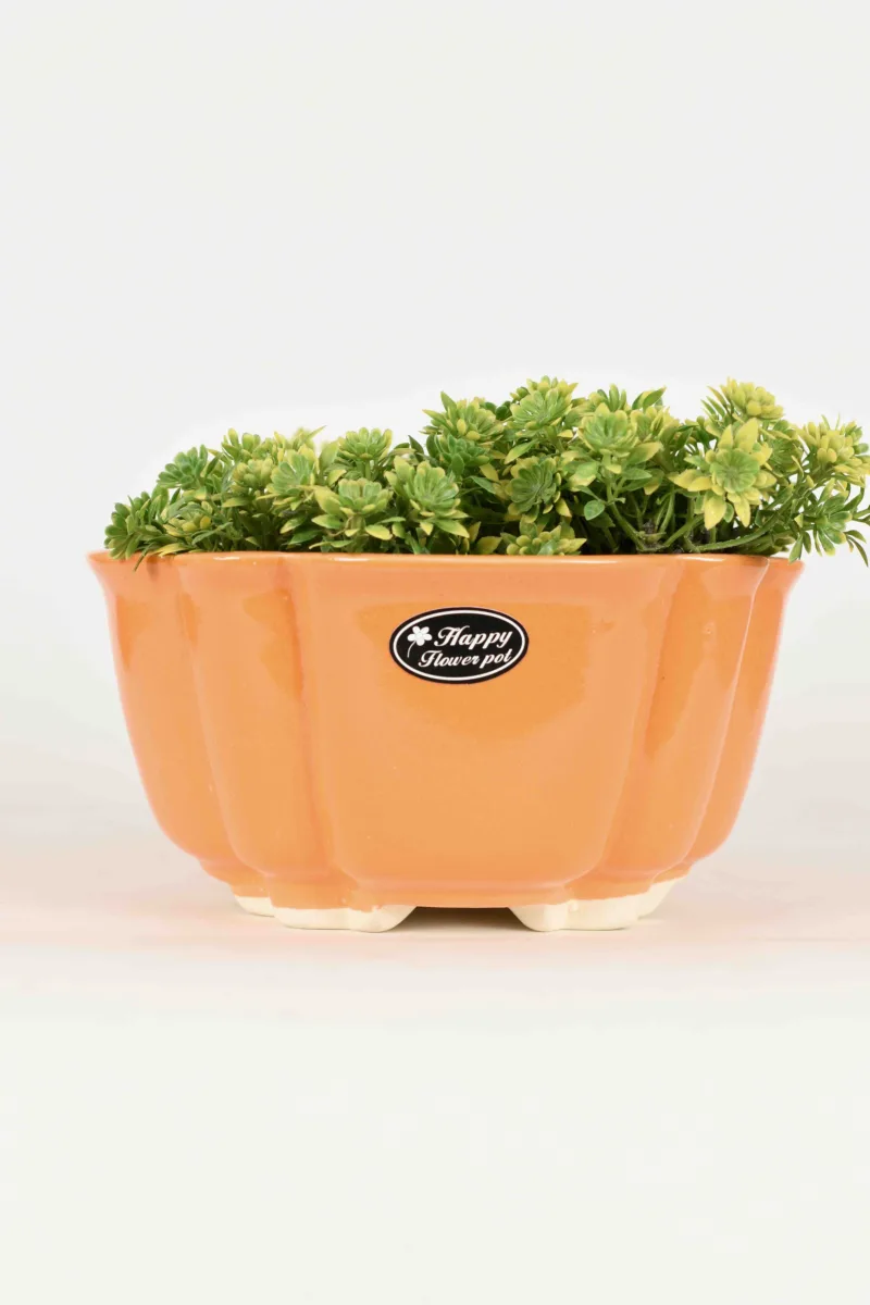 Classic Ceramic Planter — 5" Dia × 4.5" Height — Primary View