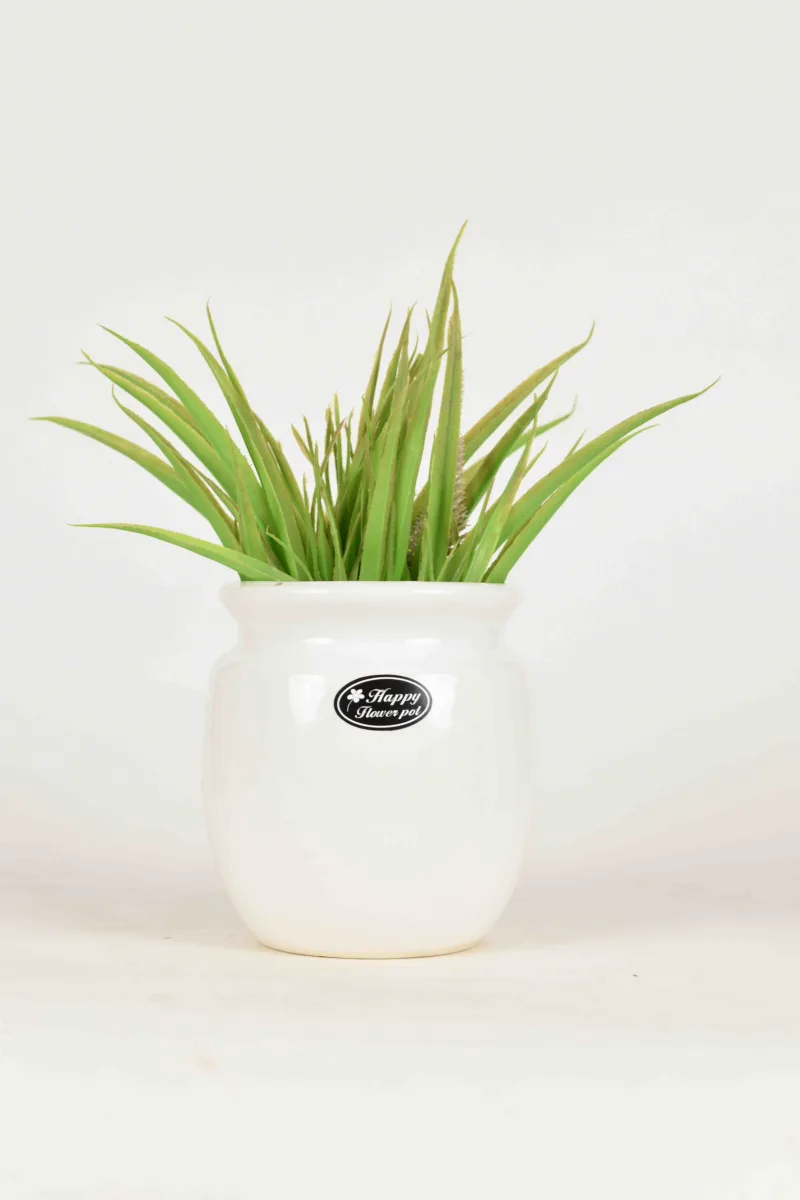 Classic Ceramic Planter — 5" Dia × 4.5" Height — Primary View