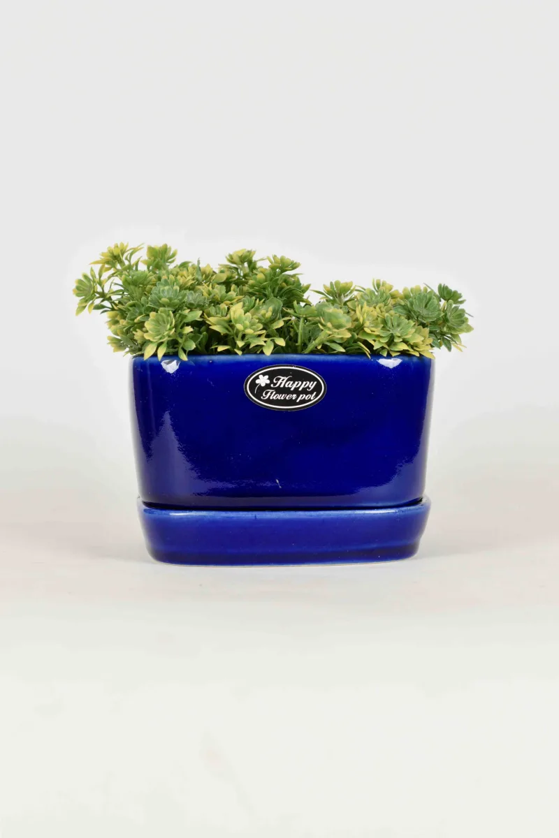 Classic Ceramic Planter — 5" Dia × 5" Height — Primary View