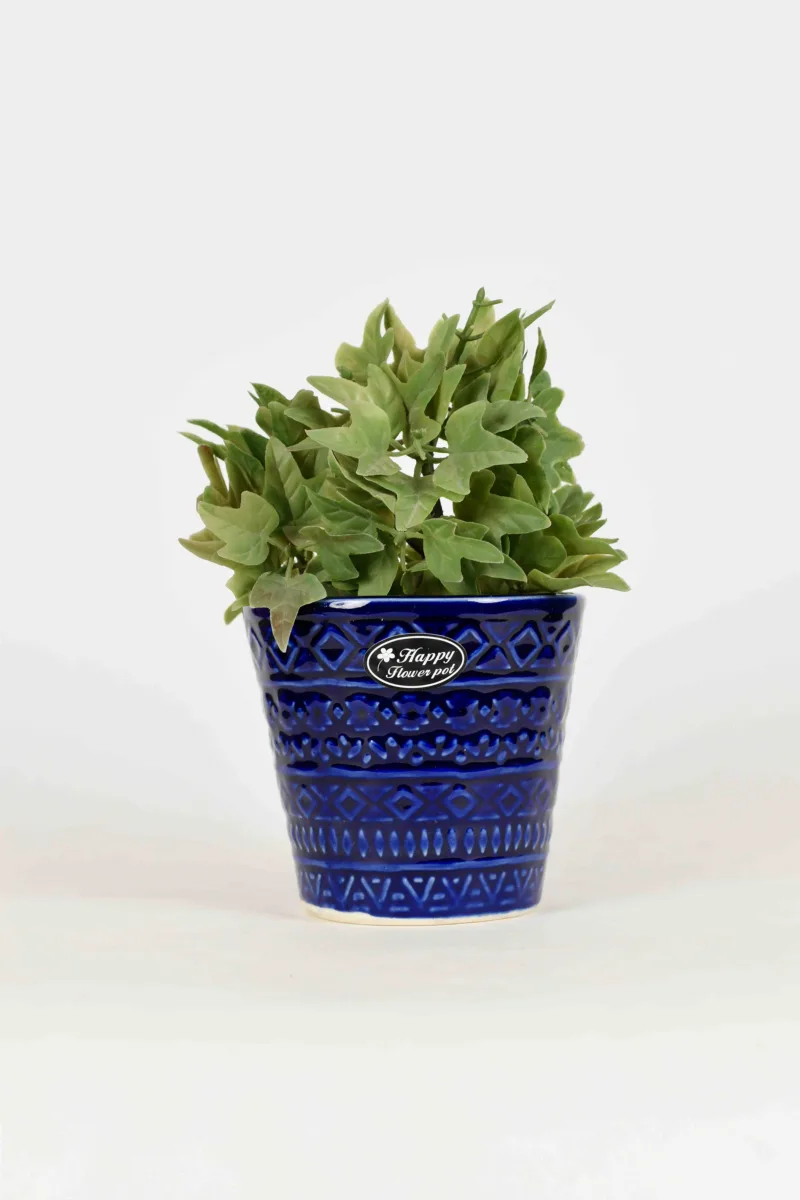Classic Ceramic Planter — 4.5" Dia × 5" Height — Primary View
