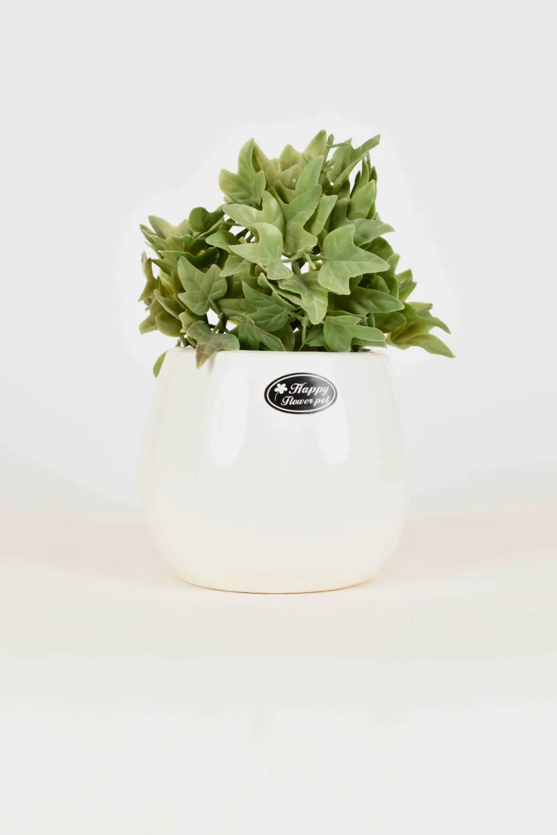 Classic Ceramic Planter — 10" Dia × 5" Height — Primary View