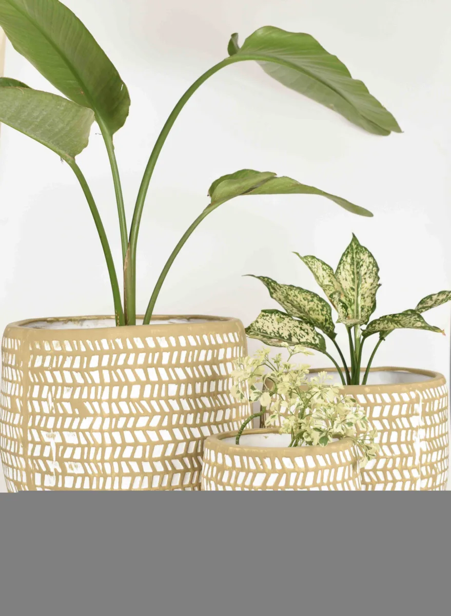 Classic Ceramic Planter — 8.5" Dia × 8" Height — Primary View
