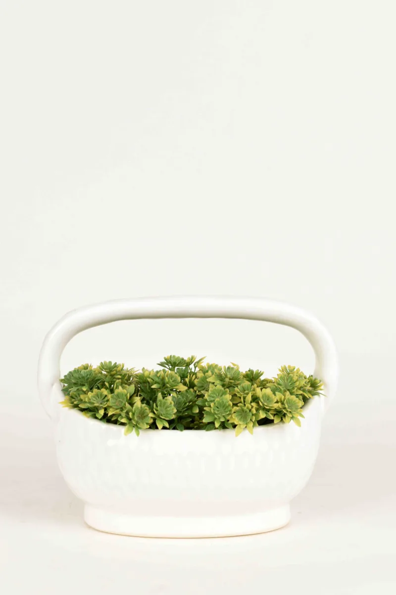 Classic Ceramic Planter — 7" Dia × 8" Height — Primary View