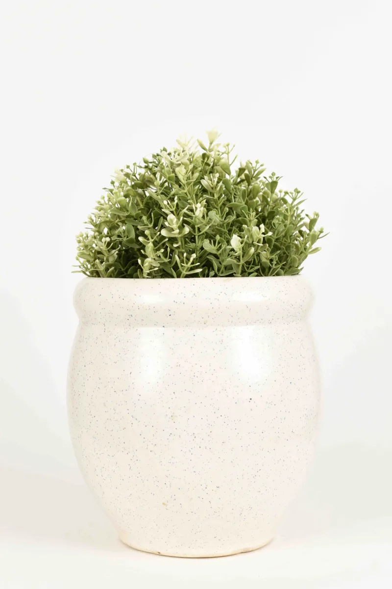 Classic Ceramic Planter — 5" Dia × 6" Height — Primary View