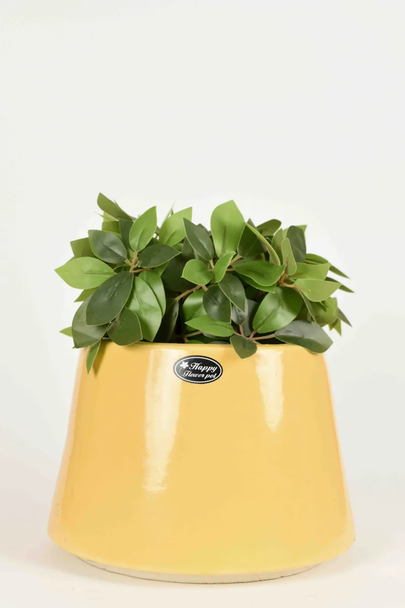 Classic Ceramic Planter — 6.5" Dia × 6.5" Height — Primary View