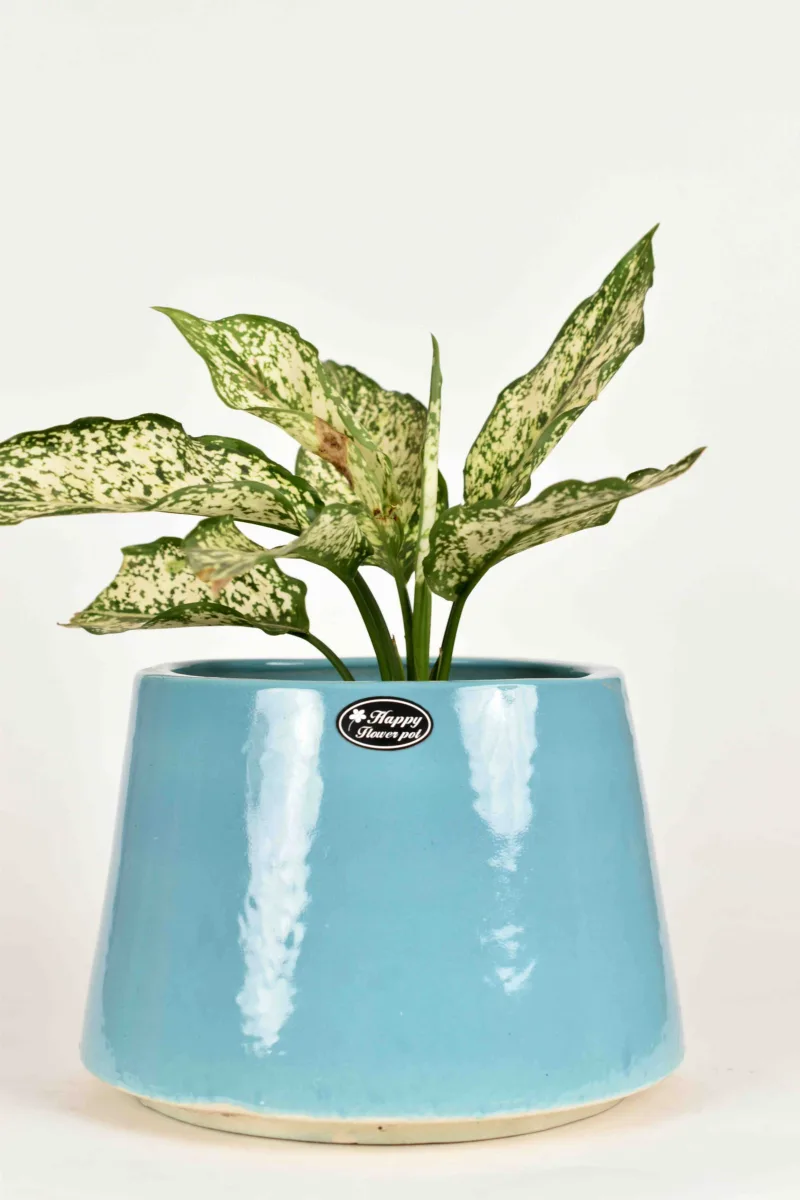 Classic Ceramic Planter — 9" Dia × 9.5" Height — Primary View
