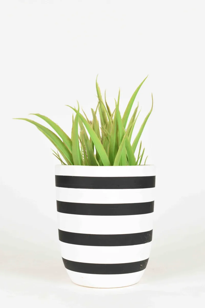 Classic Ceramic Planter — 7" Dia × 6.5" Height — Primary View