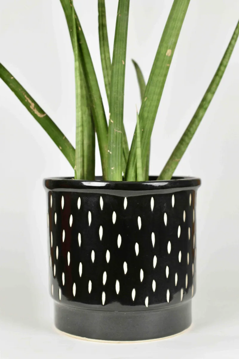 Classic Ceramic Planter — 4.5" Dia × 3.5" Height — Primary View