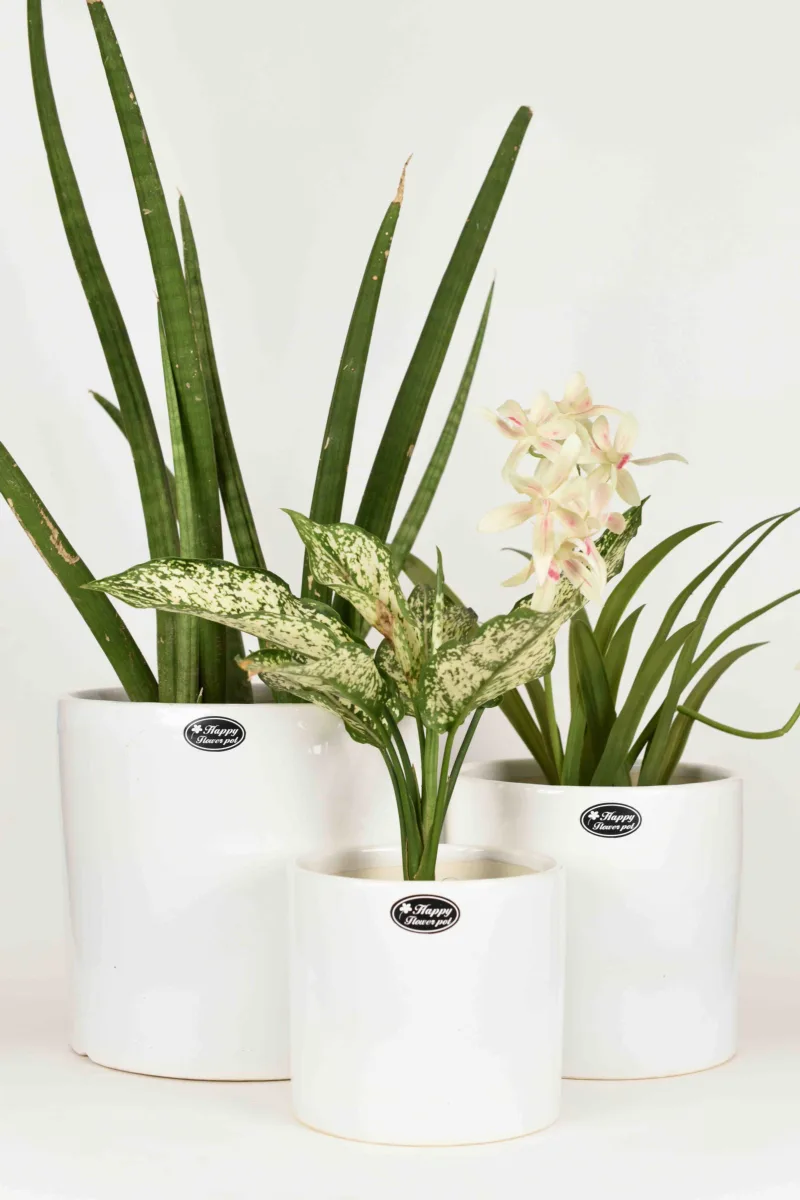 Classic Ceramic Planter — 4.5" Dia × 5.5" Height — Primary View