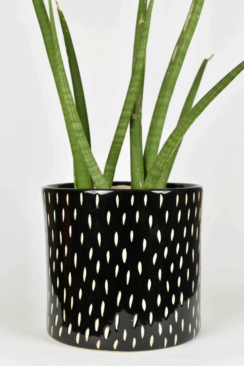 Classic Ceramic Planter — 5" Dia × 4.5" Height — Primary View