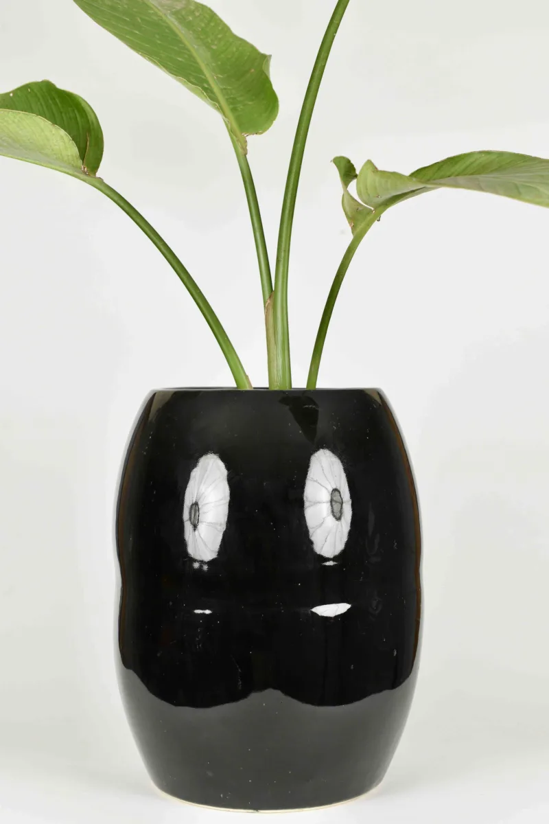 Classic Ceramic Planter — 8" Dia × 8" Height — Primary View