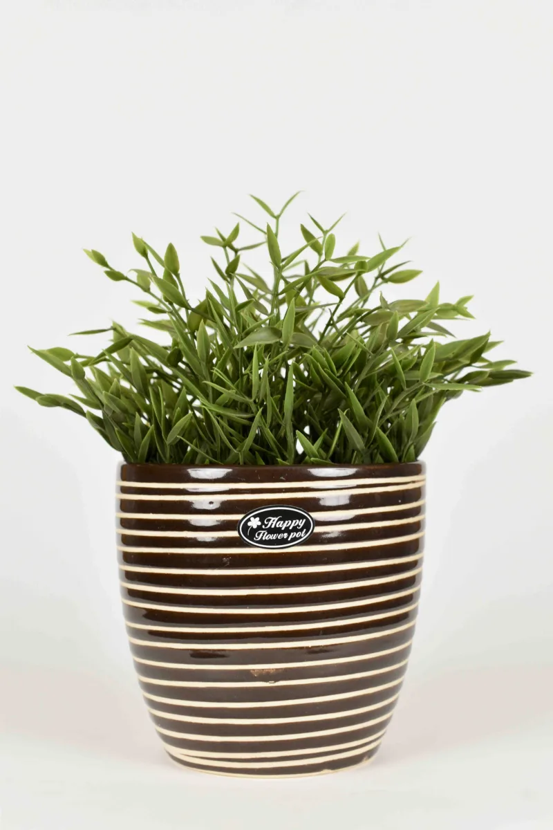 Classic Ceramic Planter Set of 3 (3" Dia) — Primary View