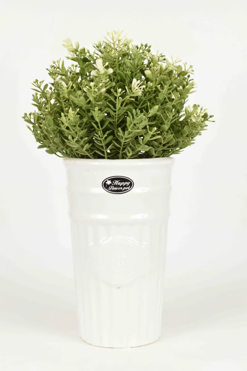 Classic Ceramic Planter — 11" Dia × 11.5" Height — Primary View