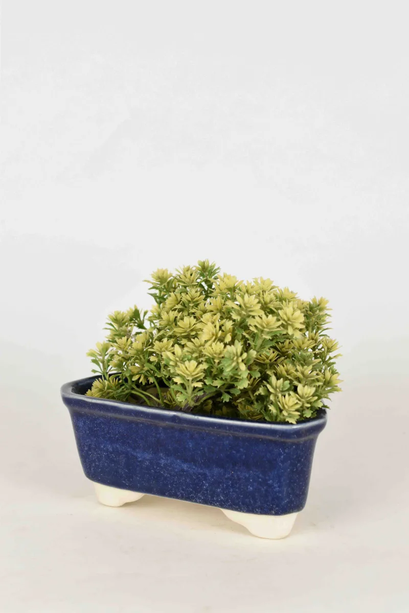 Classic Ceramic Planter — 5" Dia × 8" Height — Primary View