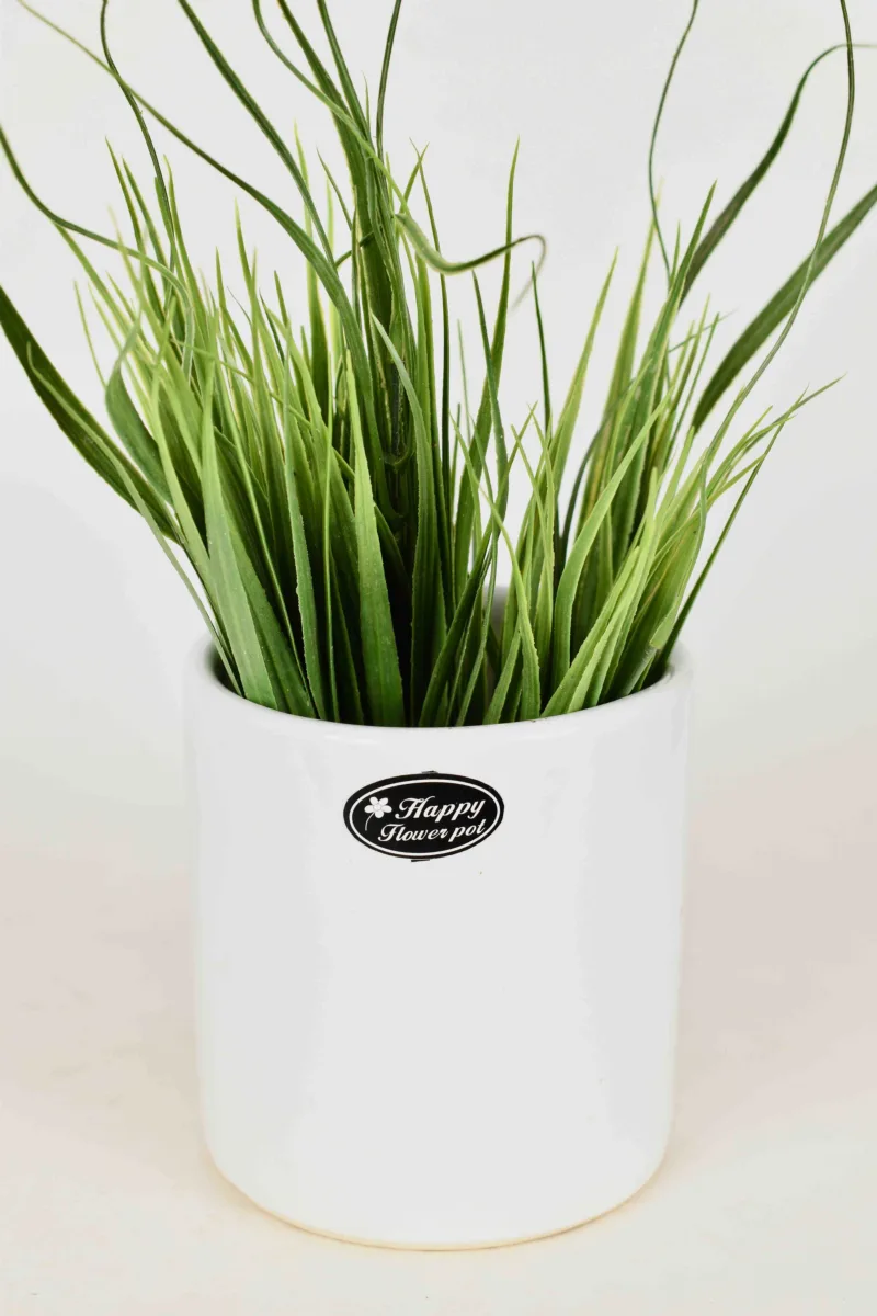Classic Ceramic Planter — 5.5" Dia × 5.5" Height — Primary View
