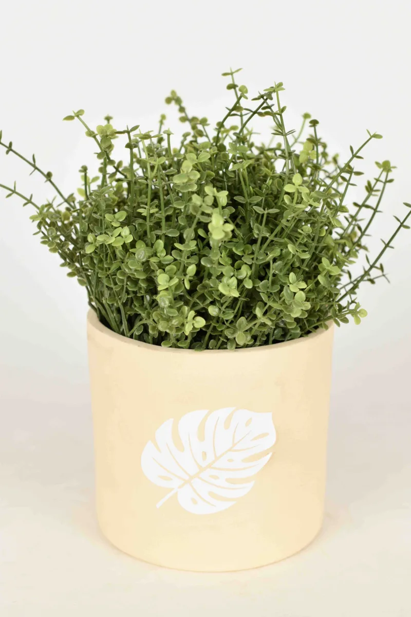 Classic Ceramic Planter — 7" Dia × 2.5" Height — Primary View