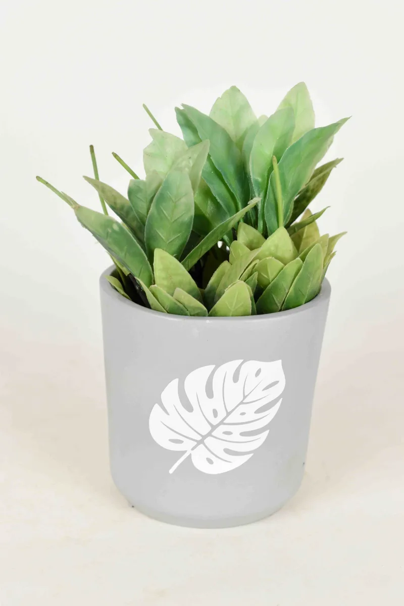 Classic Ceramic Planter — 6" Dia × 3" Height — Primary View