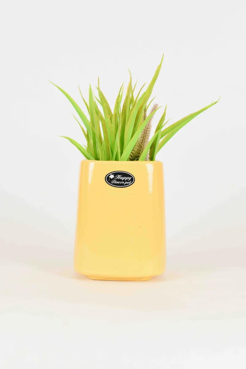 Classic Ceramic Planter — 4.5" Dia × 3" Height — Primary View