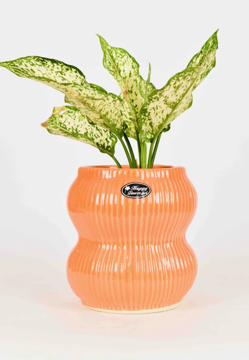 Classic Ceramic Planter — 4.5" Dia × 4" Height — Primary View