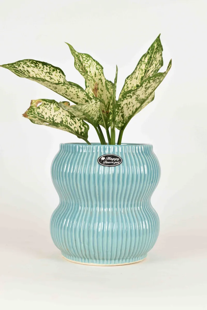Classic Ceramic Planter — 4" Dia × 4" Height — Primary View