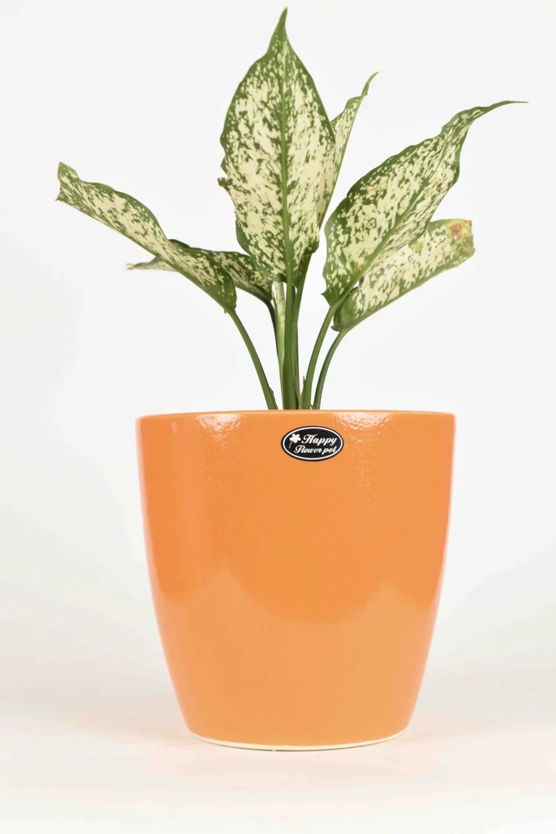 Classic Ceramic Planter — 4" Dia × 5.5" Height — Primary View