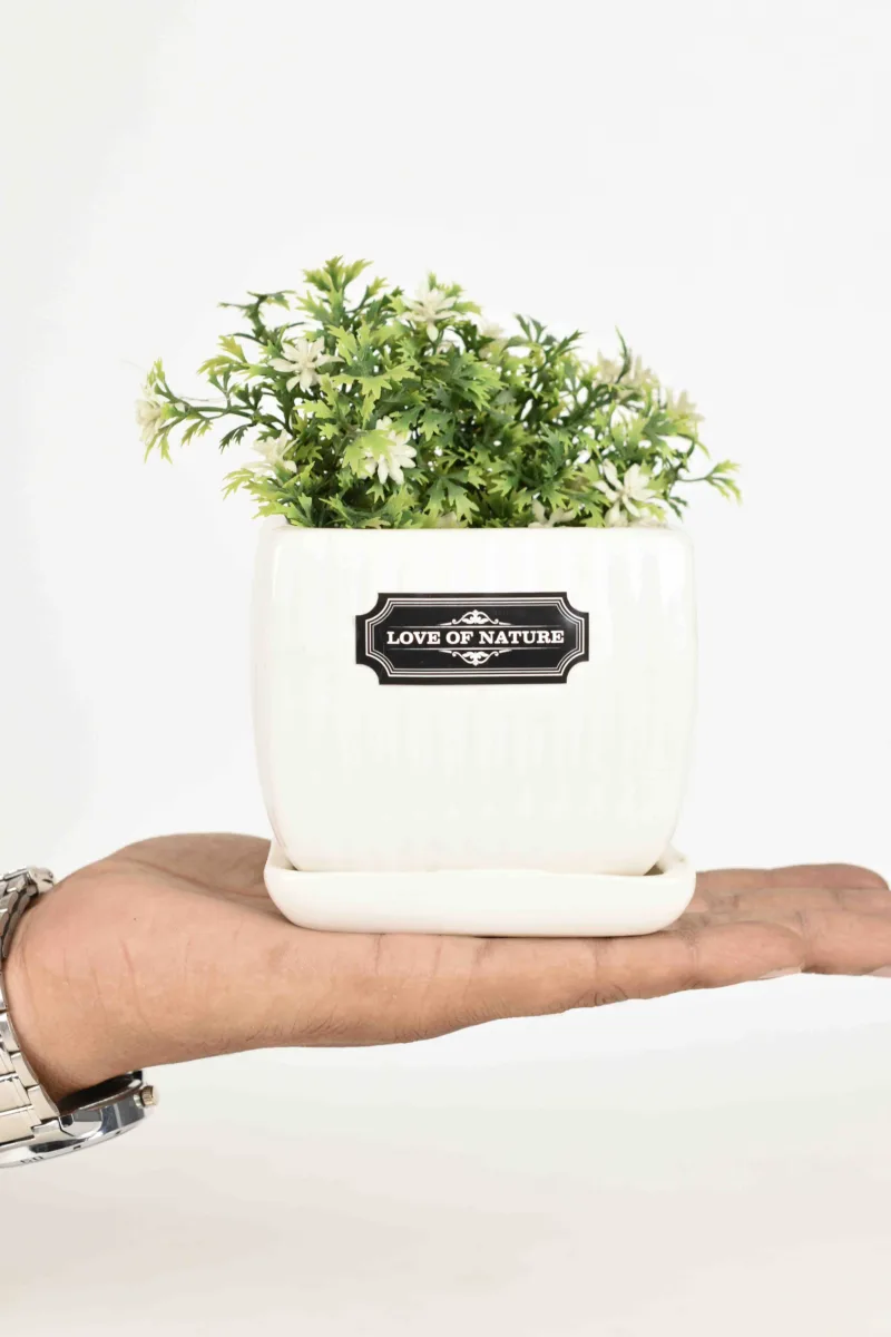 Classic Ceramic Planter — 4" Dia × 4" Height — Primary View
