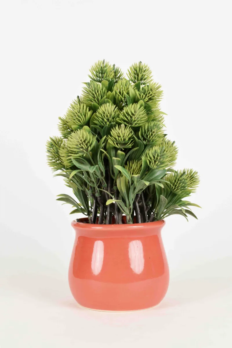 Classic Ceramic Planter — 6.5" Dia × 6.5" Height — Primary View