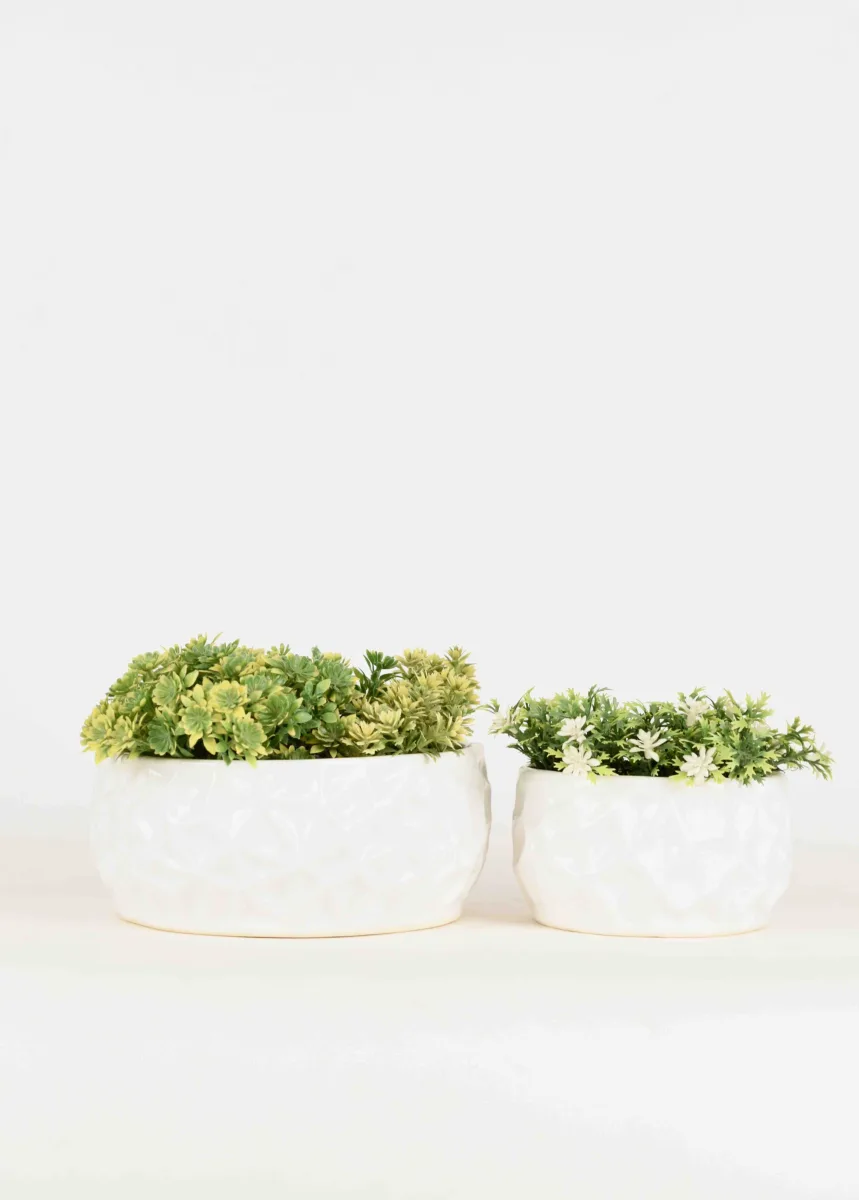 Classic Ceramic Planter — 6.5" Dia × 6.5" Height — Primary View