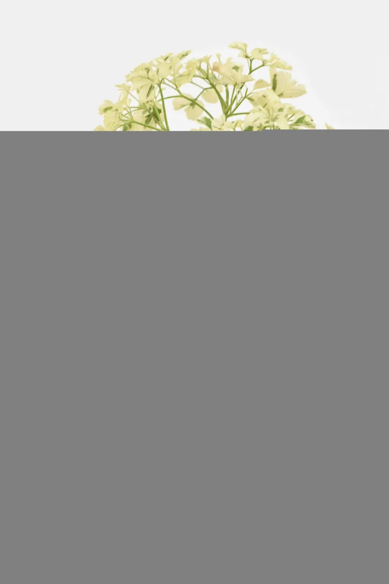 Classic Ceramic Planter — 7" Dia × 7" Height — Primary View