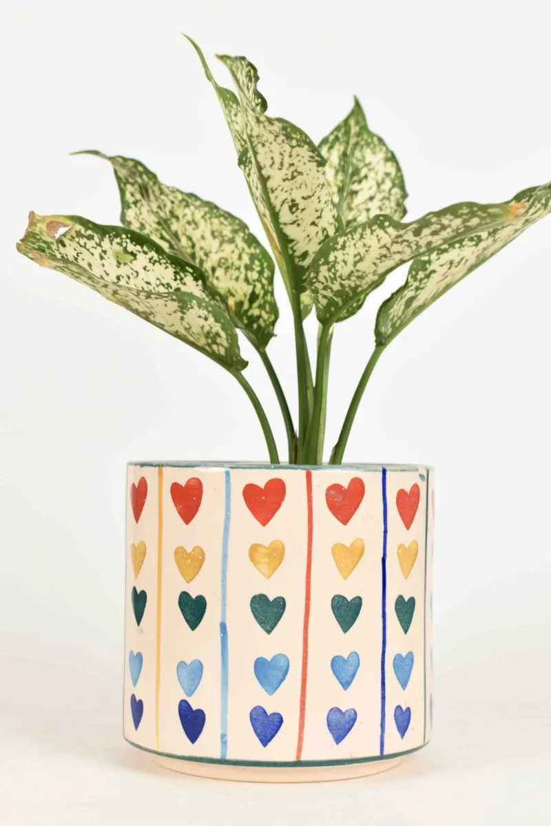 Classic Ceramic Planter — 7" Dia × 7" Height — Primary View