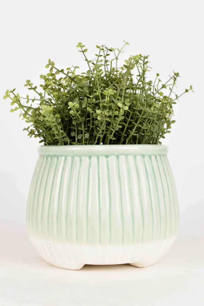 Classic Ceramic Planter — 4" Dia × 3.5" Height — Primary View