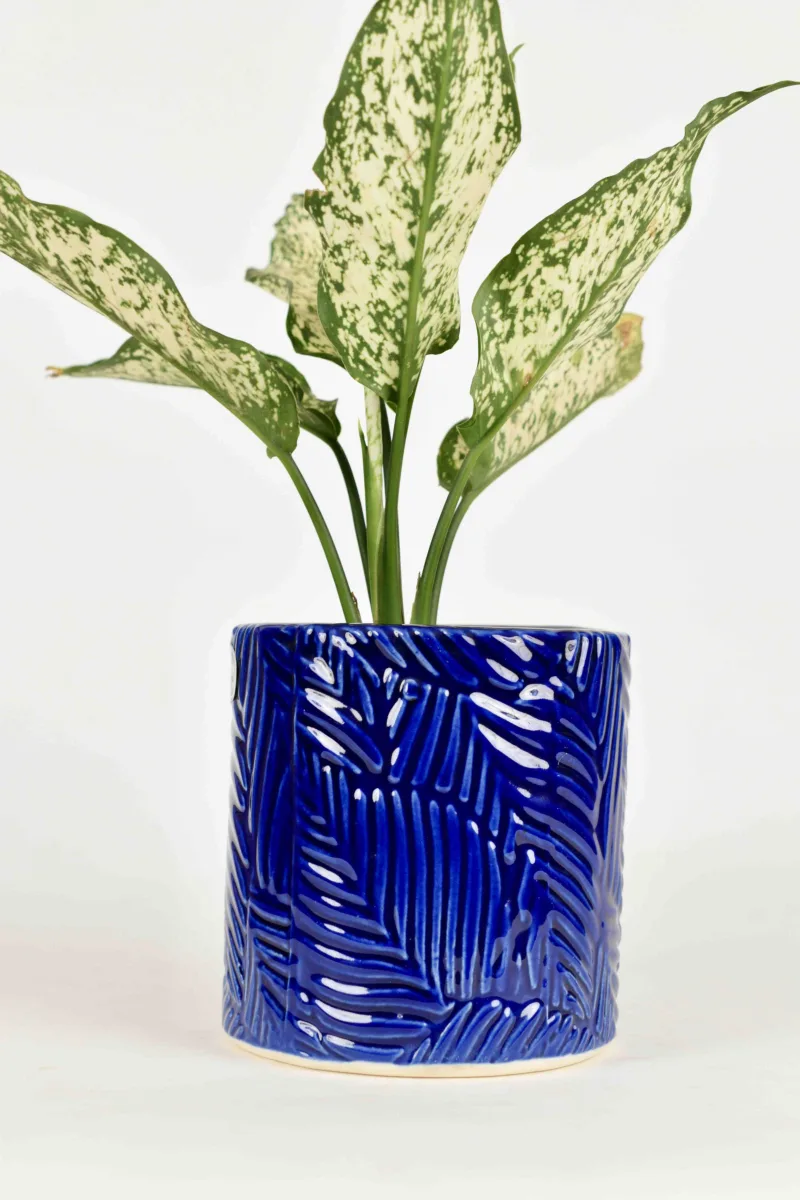 Classic Ceramic Planter — 4" Dia × 3.5" Height — Primary View